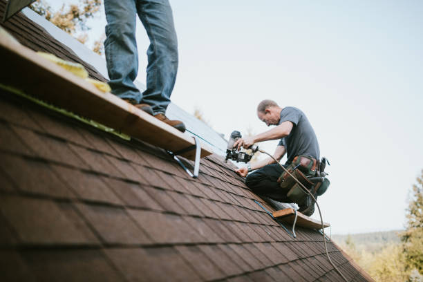 Best Gutter Installation and Roofing  in Pine Ridge, PA